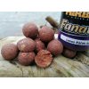 MIKBAITS FANATICA LRA Boilie - ZALM&KREEFT&ASA 24mm 900 gr