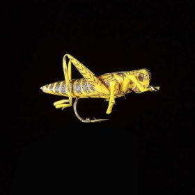 JMC Sauterelle 22 H8 - PCB 6 kunstaasvlieg