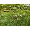 Musaga Swallow 6 2,0gr Jig Fej 4db