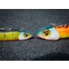 Fox Rage Slick Pelagische Koppen Arkansas Shiner 100gr Jigkop