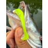 Fox Rage Scent Shads Bulk Chartreuse Ayu 7cm Plastic Kunstaas
