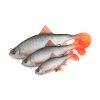 Fox Rage Ultra Realistic Roach Replicant Voorn Plastic Kunstaas 10cm 18gr