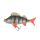 Fox Rage Ultra Realistic Perch Replicant Baars Plastic Lokmiddel 10cm 22gr