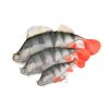 Fox Rage Ultra Realistic Perch Replicant Baars Plastic Kunstaas 14cm 52gr