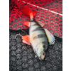 Fox Rage Ultra Realistic Perch Replicant Baars Plastic Kunstaas 18cm 100gr