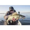 Fox Rage Bulk Loaded Slick Shads UV Arkansas Shiner 9cm 2/0 10gr Plastic Aas
