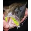 Fox Rage Bulk Loaded Zander Pro Shads UV Lemon Tiger 10cm 4/0 10gr Plastic Aas