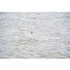 Preston Kerry Pole Rig Kant-en-klare Vaste Stok Tuigage 0,5gr