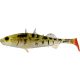 WESTIN Stanley the Stickleback Shadtail 7,5cm 4g - Pearl Stickleback 6 stuks/pak Plastic kunstaas
