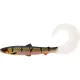 WESTIN BullTeez Curltail 8cm 3g Bling Perch Doos met 60 stuks Kunststof kunstaas