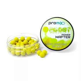 Promix GOOST Power Wafter Zoete Ananas Aas 10mm