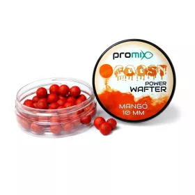 Promix GOOST Power Wafter Mango Aas 10mm