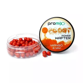 Promix GOOST Power Wafter Mango Aas 8mm