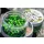 Sonubaits Bandum Wafter Marine Groen 8mm Wafter 40gr