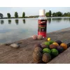 Stég Product Oplosbare Bojlie 24mm Inktvis-Octopus 1kg