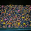 Stég Pva-Spod Mix Sweet Spicy Zoete Kruiden 3-5-8mm 800gr