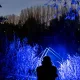 Nash Powerbanx UV Headtorch Hoofdlamp