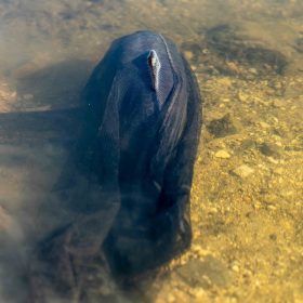 Nash Air Force 46inch Diep Boilie Schepnet